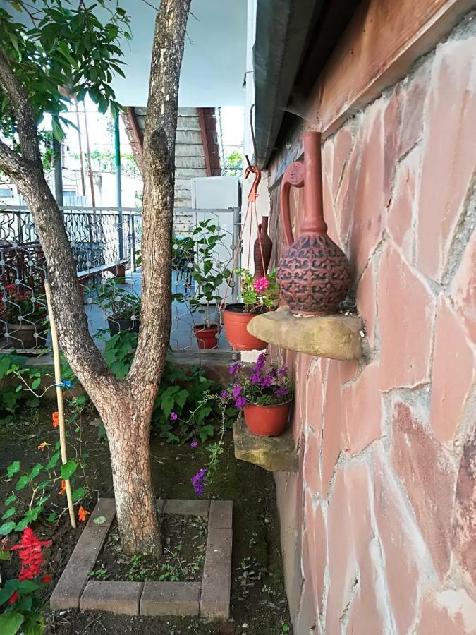 Runo Guest House Gagra Ngoại thất bức ảnh