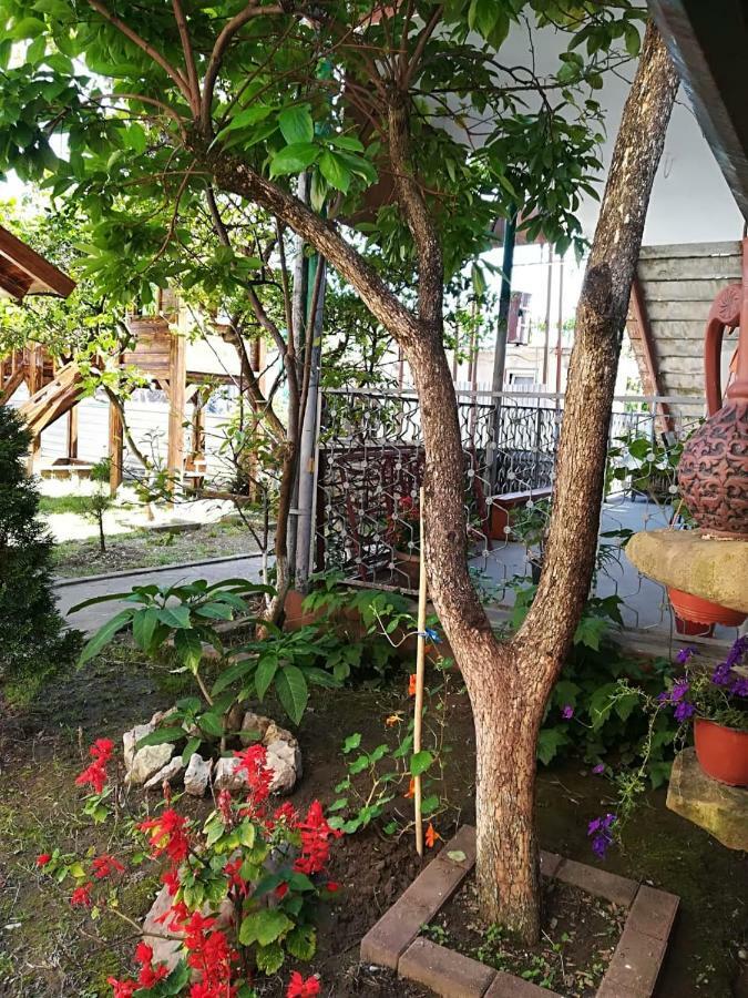 Runo Guest House Gagra Ngoại thất bức ảnh