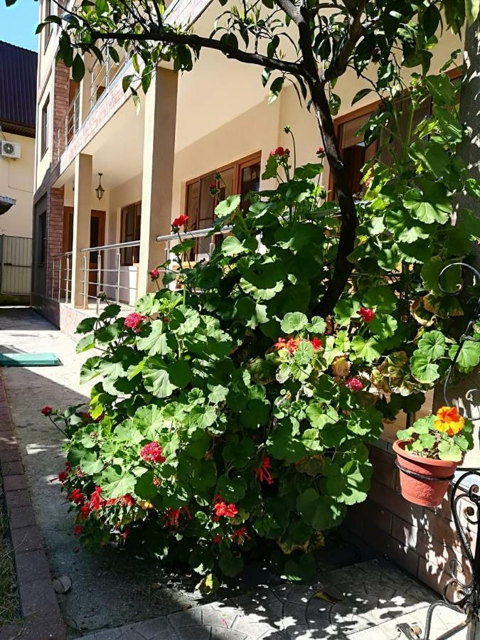 Runo Guest House Gagra Ngoại thất bức ảnh